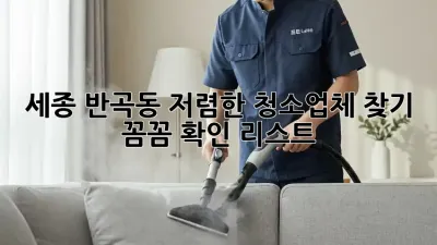 세종 반곡동 저렴한 청소업체 찾기: 꼼꼼 확인 리스트